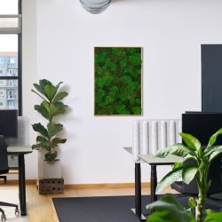 Mosbillede i mosmix 006